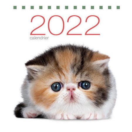 Calendrier de table 2022 : Chats