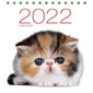 Calendrier de table 2022 : Chats