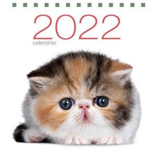 Calendrier de table 2022 : Chats