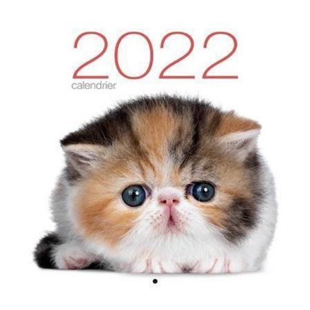 Calendrier 2022 : Chats