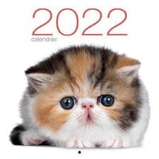 Calendrier 2022 : Chats