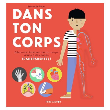 Dans ton corps : Découvre l'intérieur de ton corps grâce à des pages transparentes !