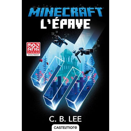 L'épave : Minecraft