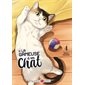 La gameuse et son chat T.04 : Manga : ADO