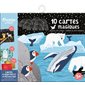 10 cartes magiques à gratter et à métalliser : 5 +