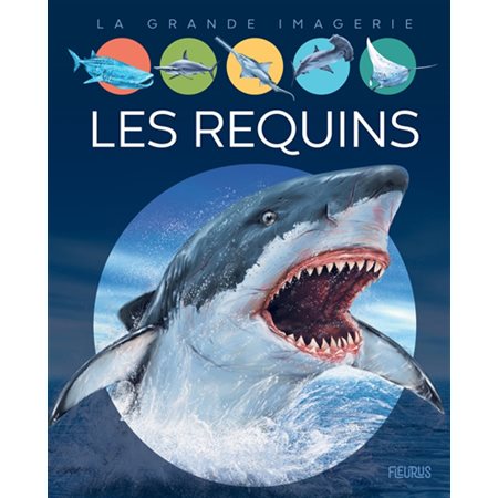 Les requins