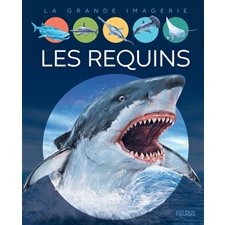 Les requins