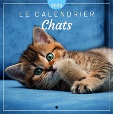 Le calendrier chats 2022 : Petits calendriers muraux