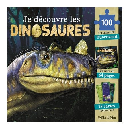 Je découvre les dinosaures : Coffret comprenant 1 livre de 64 pages, 15 cartes + 1 casse-tête fluo