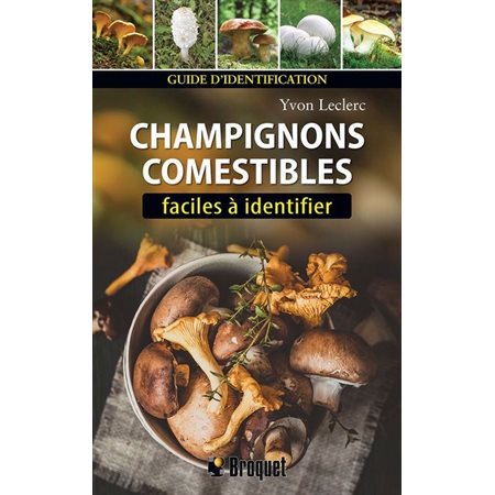 Champignons comestibles faciles à identifier : Guide d'identification