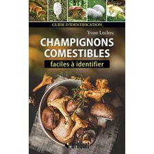 Champignons comestibles faciles à identifier : Guide d'identification