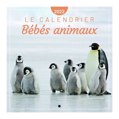 Le calendrier bébés animaux 2022