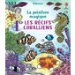 Les récifs coralliens : La peinture magique