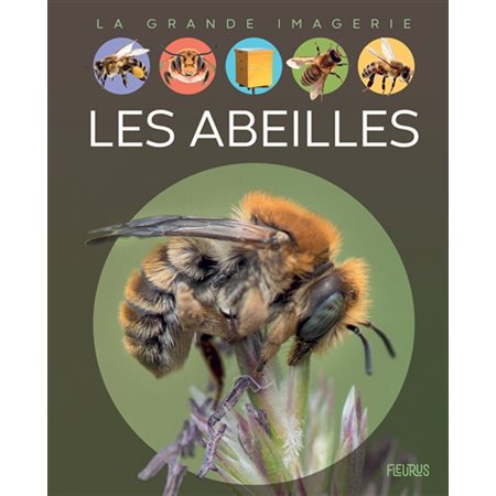 Les abeilles : La grande imagerie : 2e édition