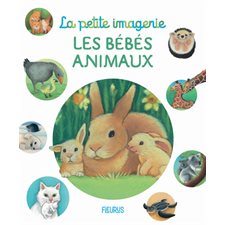 Les bébés animaux : La petite imagerie