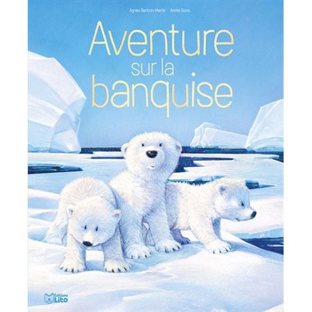 Aventure sur la banquise