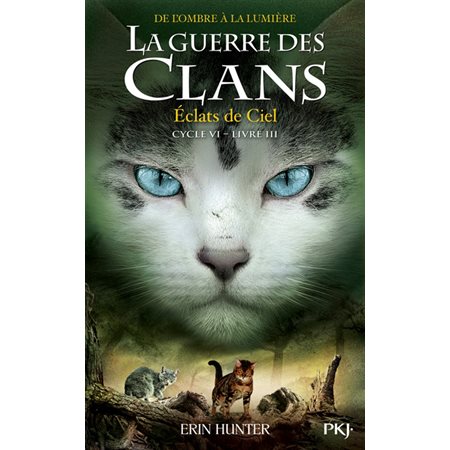 La guerre des clans, De l'ombre à la lumière : Cycle 6, T.03 : Éclats de ciel : 9-11