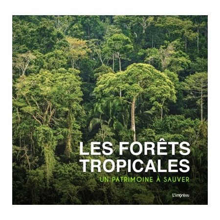 Les forêts tropicales : Un patrimoine à sauver