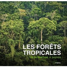 Les forêts tropicales : Un patrimoine à sauver