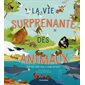 La vie surprenante des animaux : Tout sur leurs jeux et leurs bêtises !