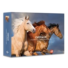 Chevaux : L'agenda-calendrier 2022