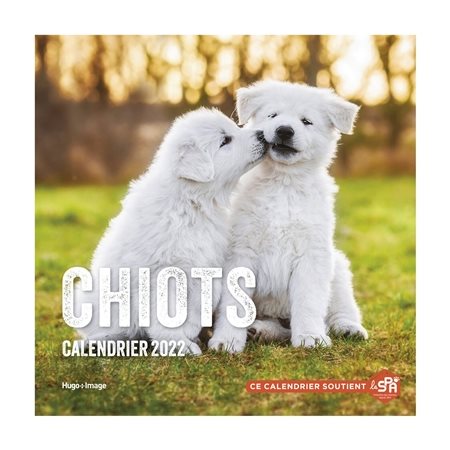 Chiots : Calendrier mural 2022