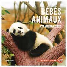 Bébés animaux : Calendrier mural 2022