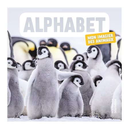 Alphabet :  Mon premier imagier des animaux