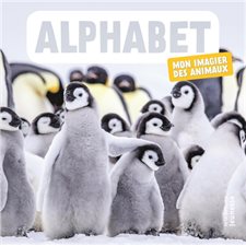 Alphabet :  Mon premier imagier des animaux