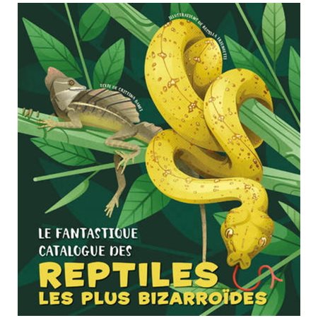 Le fantastique catalogue des reptiles les plus bizarroïdes