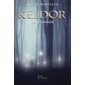 Keldor T.03 : La poursuite : FAN