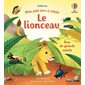 Le lionceau : Mon petit livre à rabats