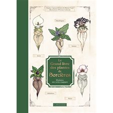 Le grand livre des plantes de sorcières : 80 plantes aux vertus magiques