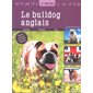 Le bulldog anglais