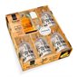 Le petit bar des rhums arrangés : Coffret avec 4 bouteilles en verre de 20 cl + 1 livre + 1 entonnoi