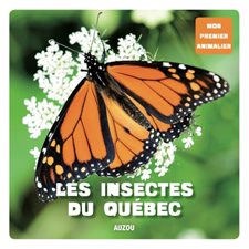 Les insectes du Québec : Mon premier animalier