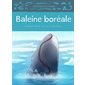 Baleine boréale : Animaux illustrés
