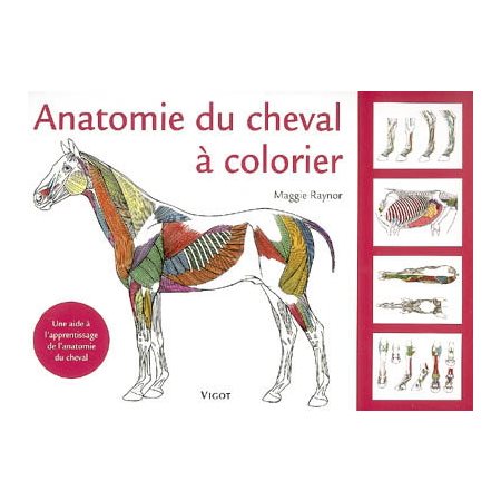 Anatomie du cheval à colorier : Une aide à l'apprentissage de l'anatomie du cheval