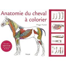 Anatomie du cheval à colorier : Une aide à l'apprentissage de l'anatomie du cheval