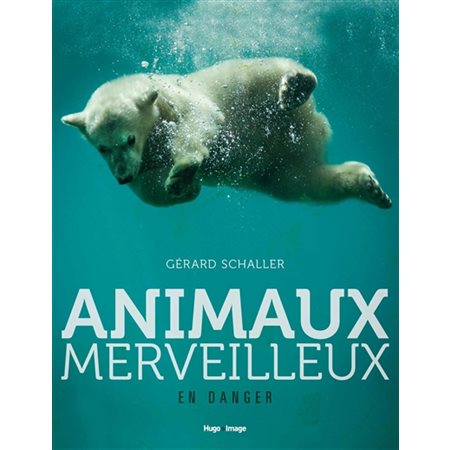 Animaux merveilleux en danger