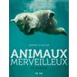 Animaux merveilleux en danger