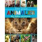 Mon grand animalier des bébés animaux
