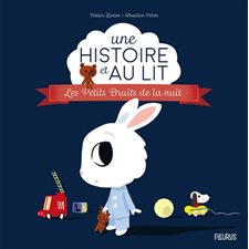 Les petits bruits de la nuit : Une histoire et au lit !