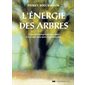 L'énergie des arbres : Le pouvoir énergétique des arbres et leur aide dans notre transformation