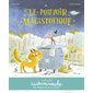 Le pouvoir magistofique : Casterminouche : AVC