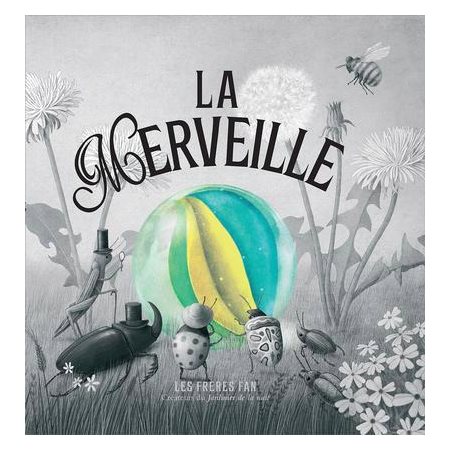 La Merveille : Couverture rigide