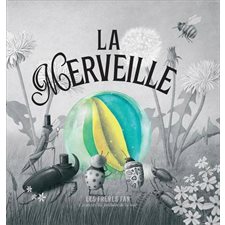 La Merveille : Couverture rigide