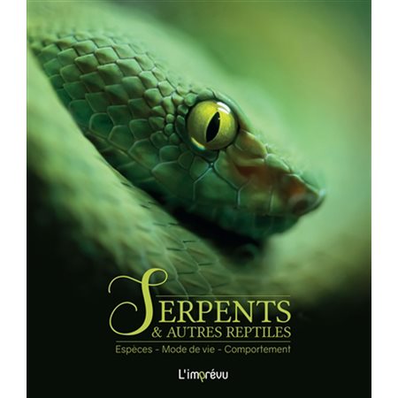 Serpents & autres reptiles : Espèces, mode de vie, comportement