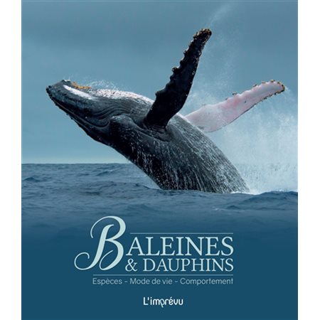Baleines & dauphins : Espèces, mode de vie, comportement