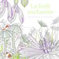 La forêt enchantée : Dessins à colorier
